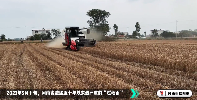 麦收大会战！总收获机忙！忙！忙！