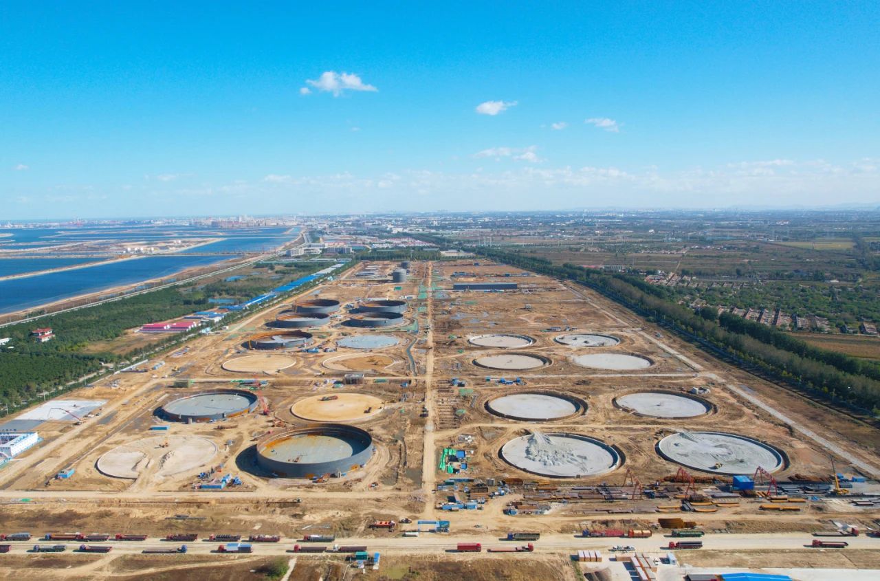 “雄狮”集结！总助建世界级绿色石化基地