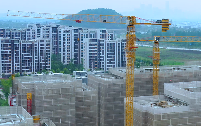 坐标杭州，总塔机组团“上大学”